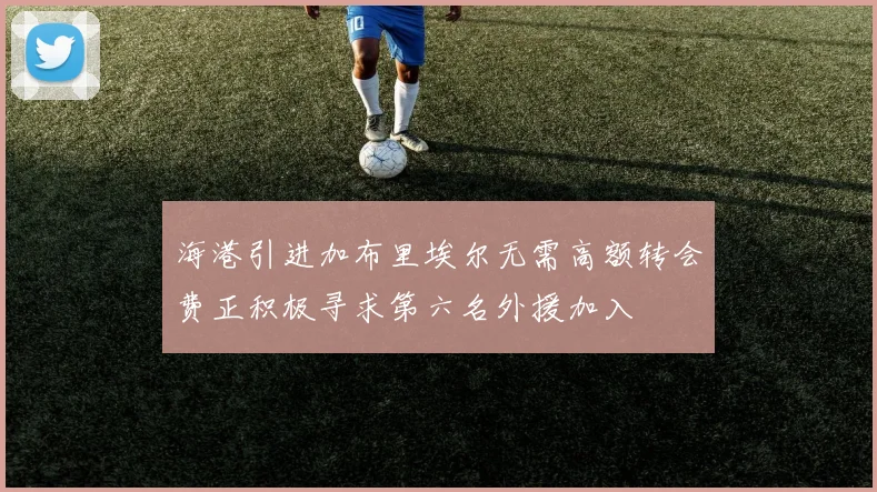 海港引进加布里埃尔无需高额转会费正积极寻求第六名外援加入